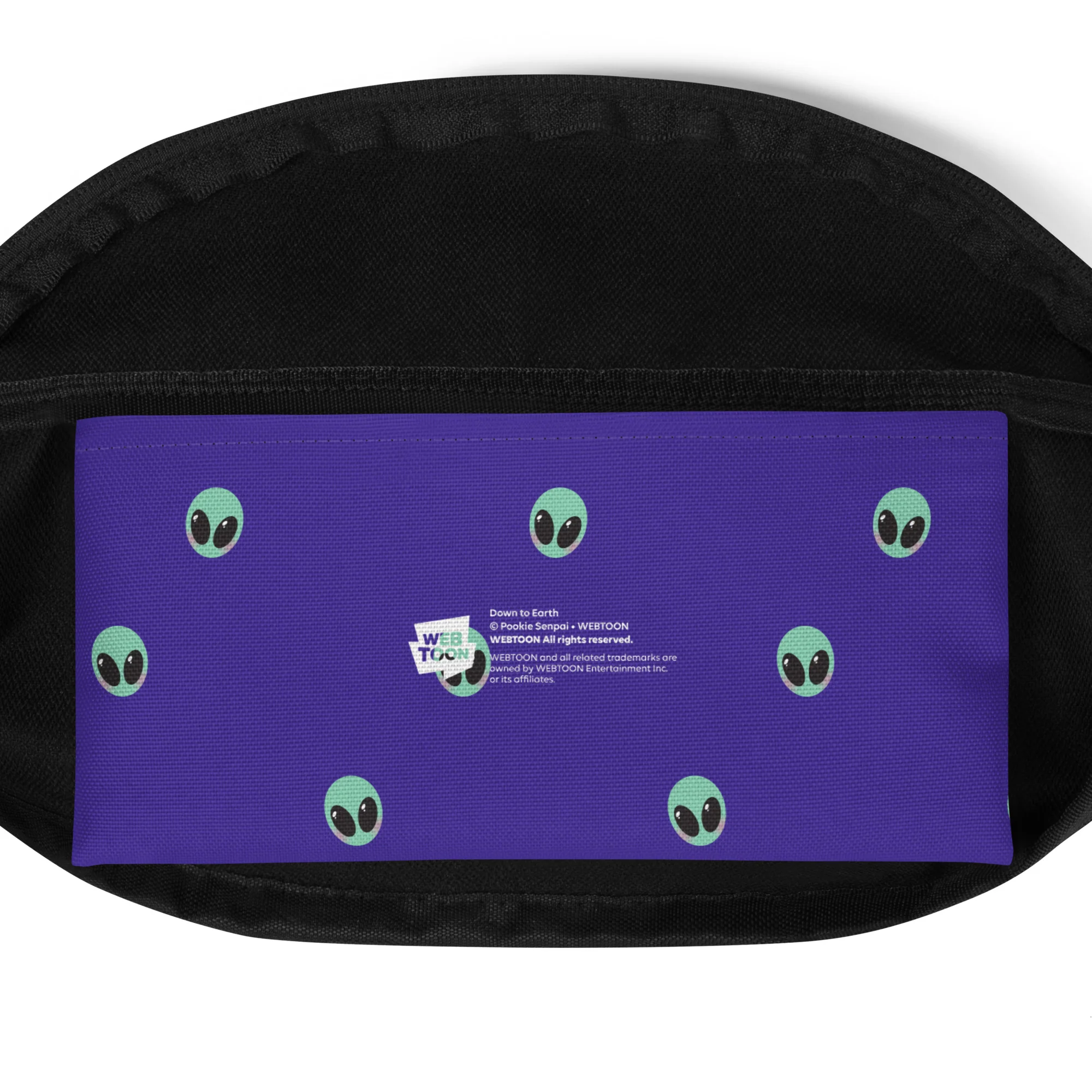 DOWN TO EARTH - FANNY PACK