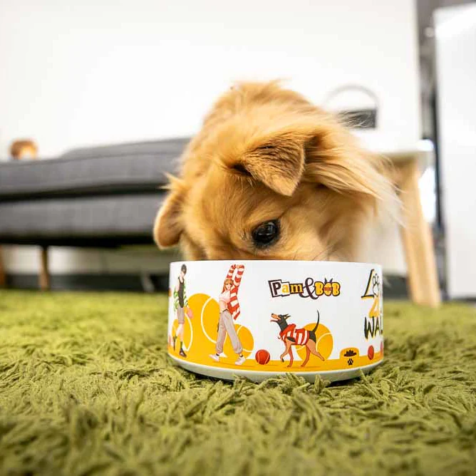 LOVE FOR A WALK - PATTERN #1 PET BOWL
