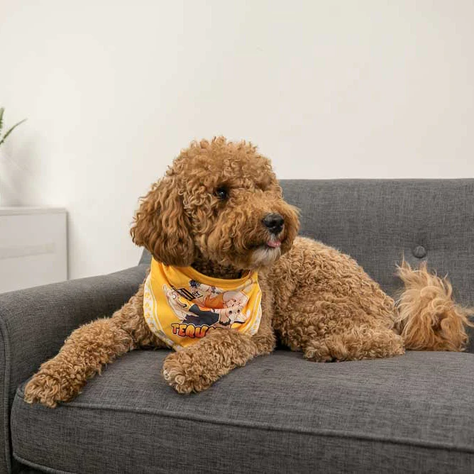 LOVE 4 A WALK - DOG BANDANA 3 LOVE 4 A WALK - DOG BANDANA